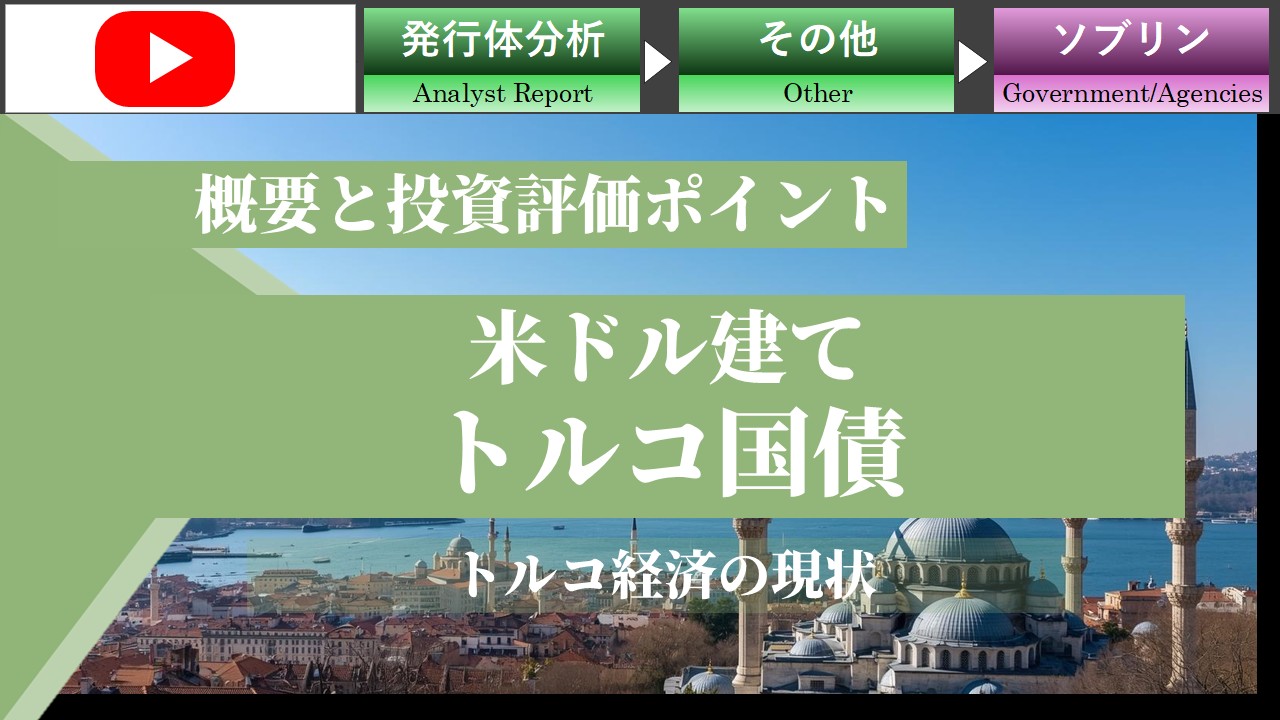 【ショート動画】トルコ経済と為替変動を考慮した債券投資戦略