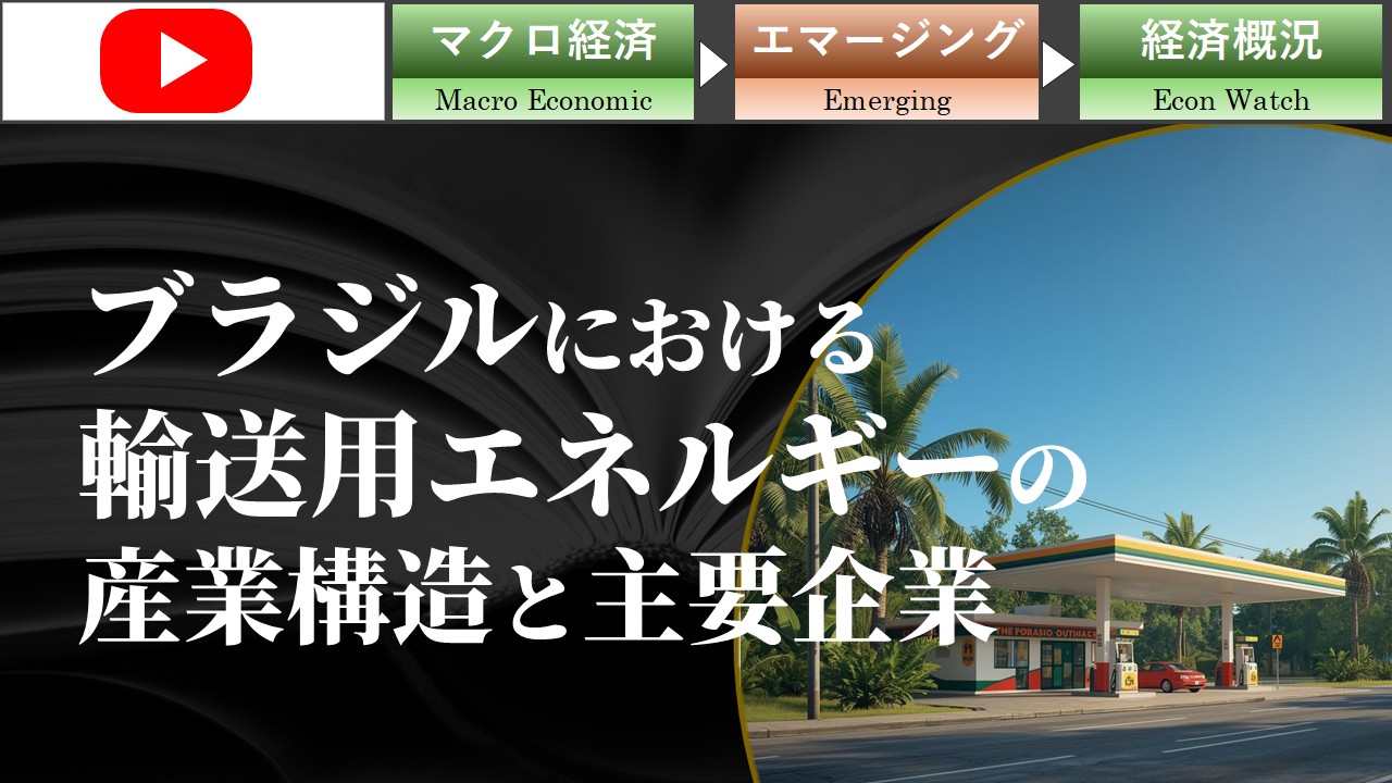 ブラジルにおける輸送用エネルギーの産業構造と主要企業