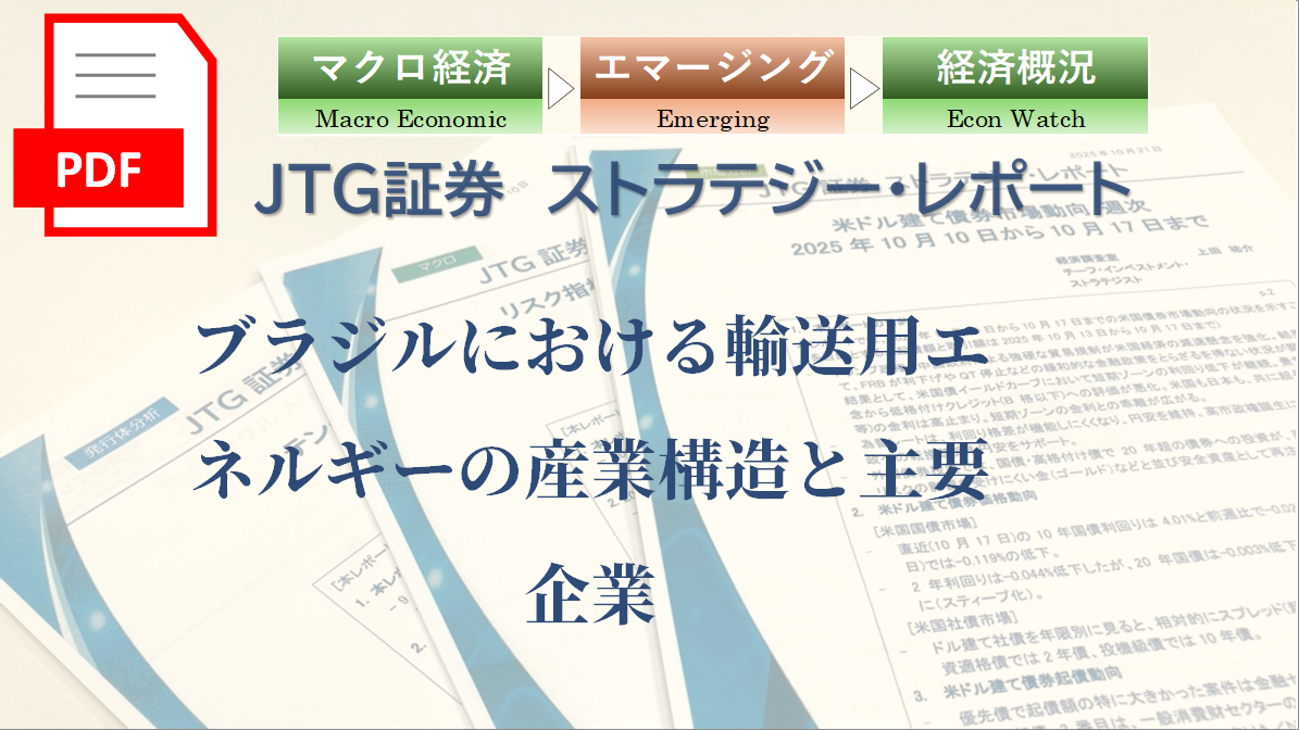 ブラジルにおける輸送用エネルギーの産業構造と主要企業