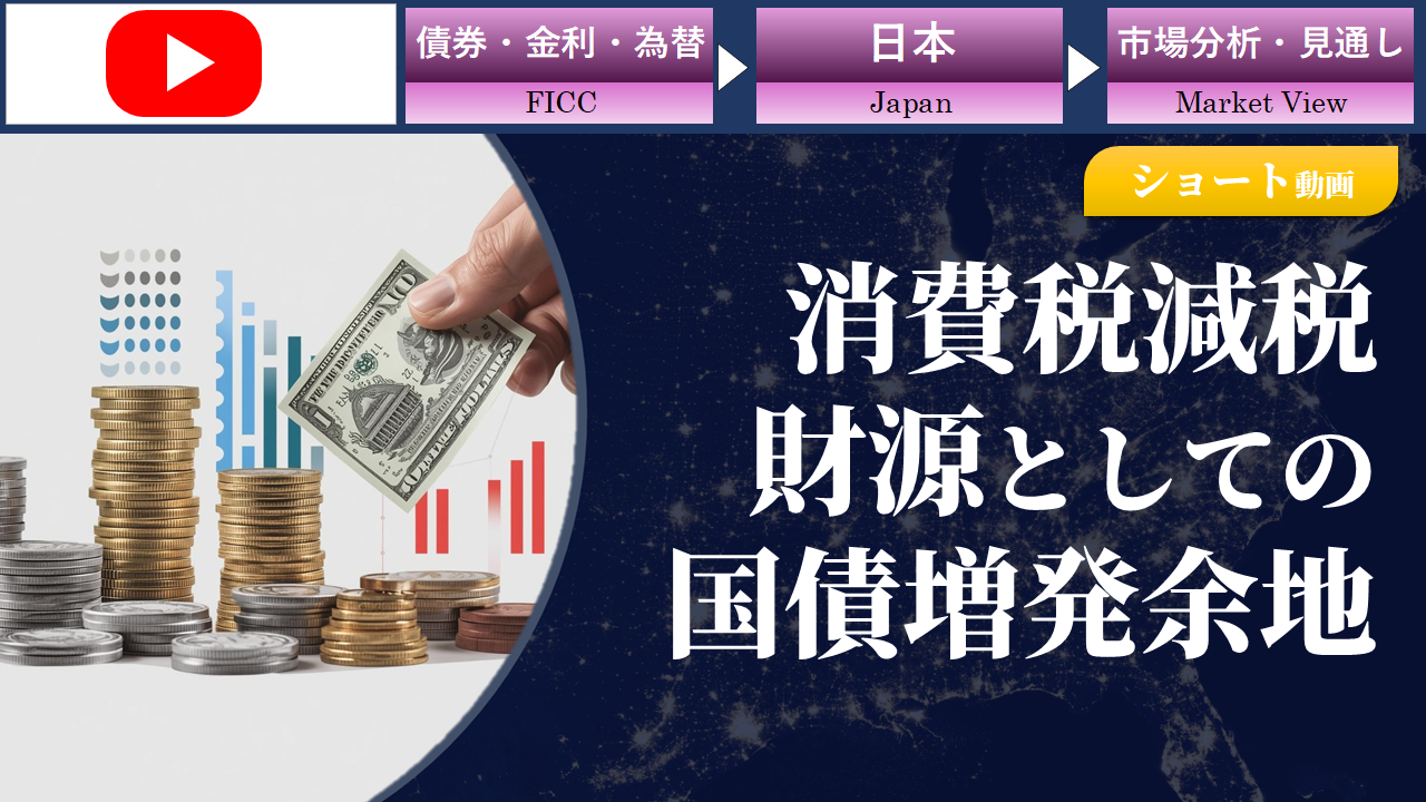 【ショート動画】消費税減税の財源としての国債増発余地